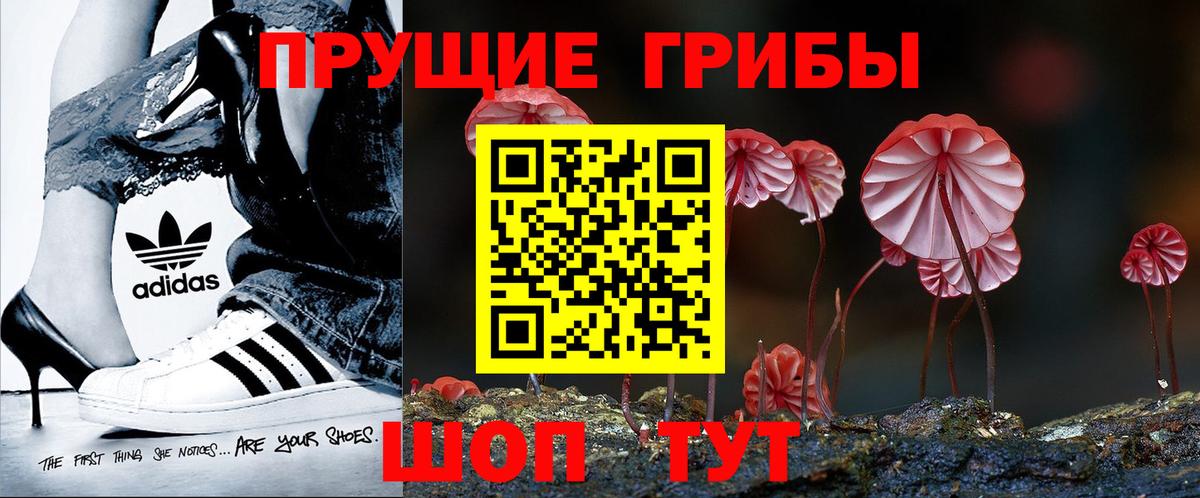 Реутов  Псилоцибиновые грибы ЛСД  Псилоцибиновые грибы мухоморы  Вход с VPN 